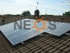 NEOS-RT023